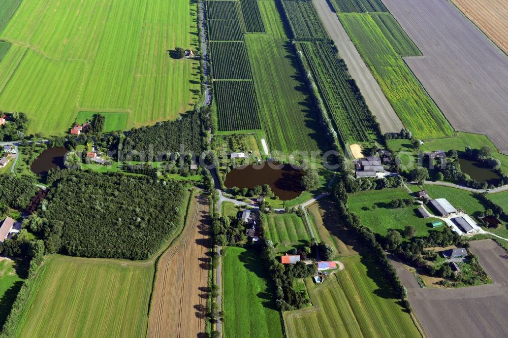 Hörne from above - Townscape with homesteads and farms in Horns in Lower Saxony