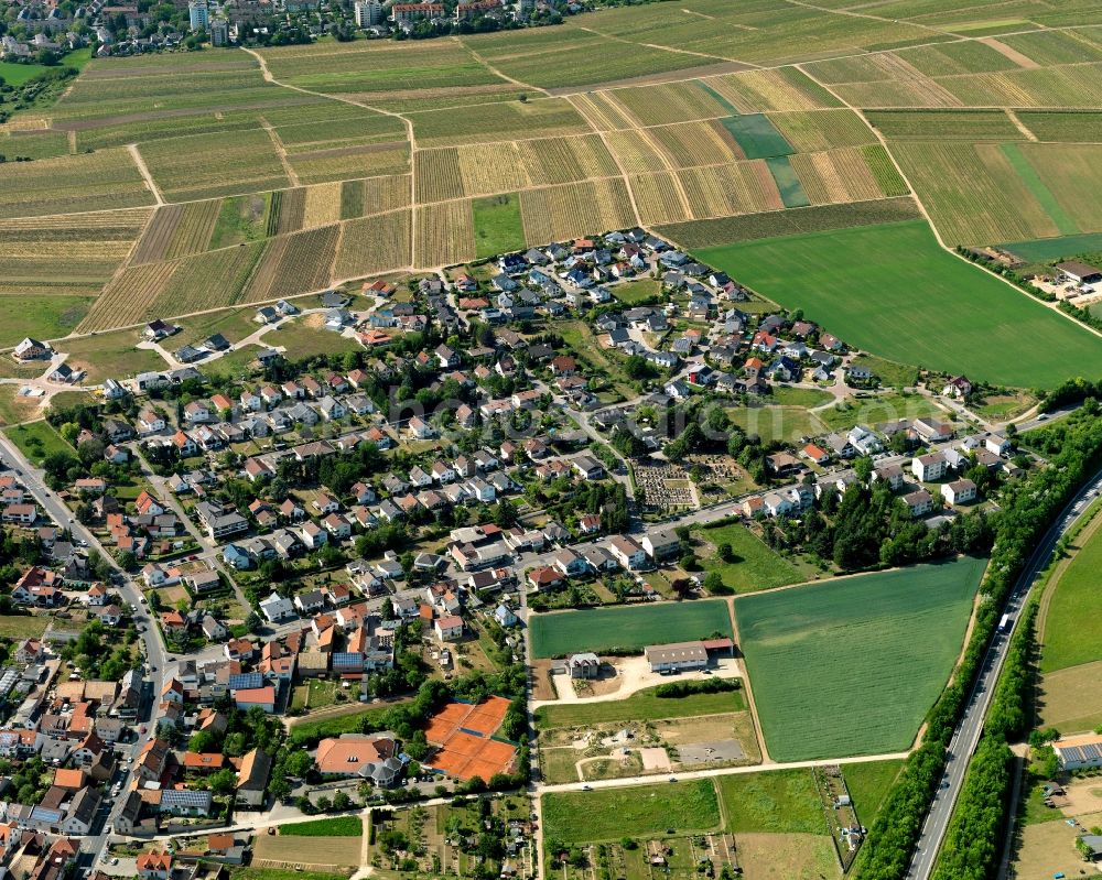 Aerial image Hackenheim - View of Hackenheim in the state of Rhineland-Palatinate. The borough is characterised by wine-growing estates and viniculture. It is surrounded by agricultural land and located on federal road 428. The borough belongs the the wine-growing region of Rheinhessen