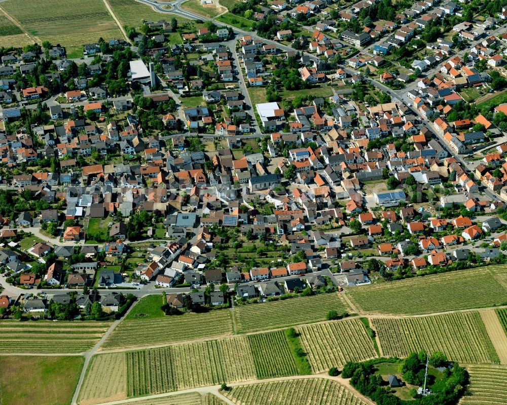 Aerial photograph Hackenheim - View at Hackenheim in Rhineland-Palatinate