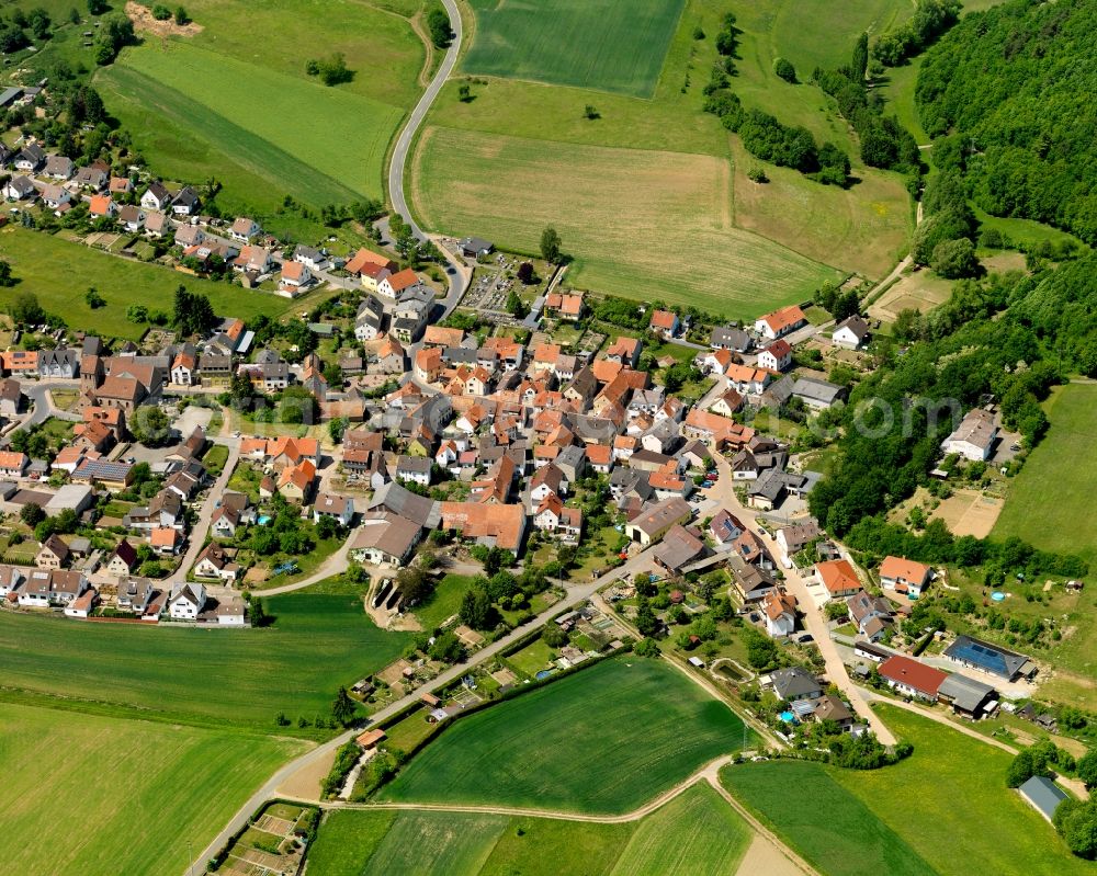 Hallgarten from above - View of the borough of Hallgarten in the state of Rhineland-Palatinate. The municipiality consists of Hallgarten and Dreiweiherhof. It is enclosed by forest, hills and agricultural land and is an official tourist resort