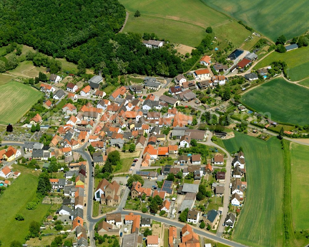 Aerial image Hallgarten - View of the borough of Hallgarten in the state of Rhineland-Palatinate. The municipiality consists of Hallgarten and Dreiweiherhof. It is enclosed by forest, hills and agricultural land and is an official tourist resort