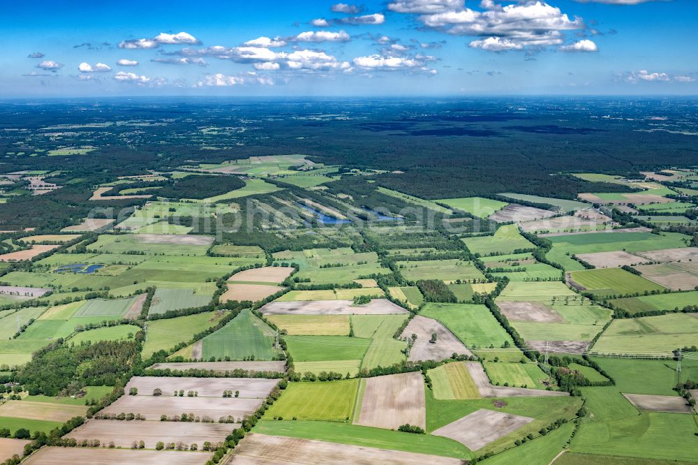 Aerial image Hasenmoor - Town View of the streets and houses of the residential areas in Hasenmoor in the state Schleswig-Holstein, Germany