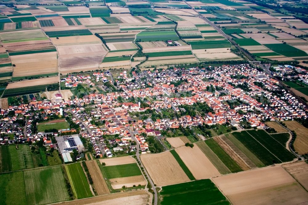 Haßloch from the bird's eye view: Town View of the streets and houses of the residential areas in Hassloch in the state Rhineland-Palatinate