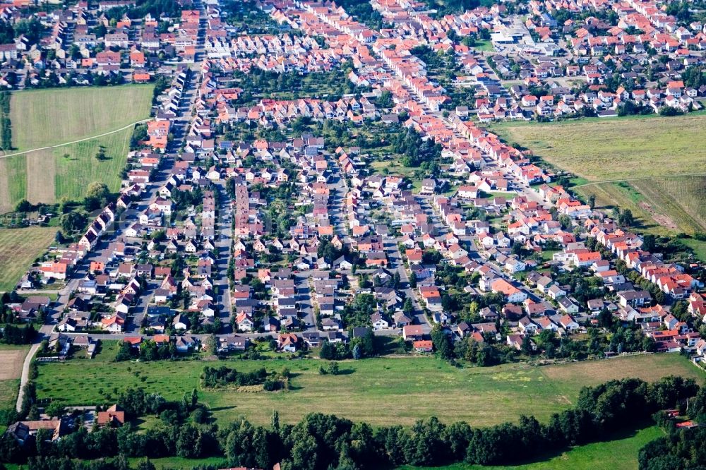 Aerial image Haßloch - Town View of the streets and houses of the residential areas in Hassloch in the state Rhineland-Palatinate