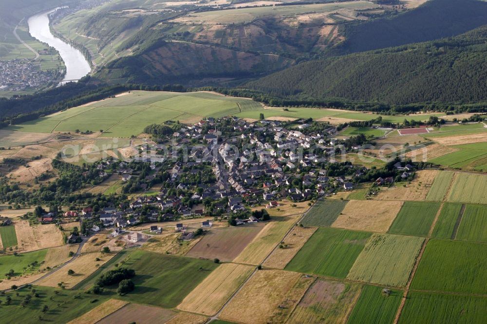 Aerial image Heidenburg - View of the village of Heidenburg im Hunsrueck in the state of Rhineland-Palatinate. Heidenburg is surrounded by agricultural fields and areas and is framed by hills, forest and woods. The borough is located South of the Mosel in a narrow valley