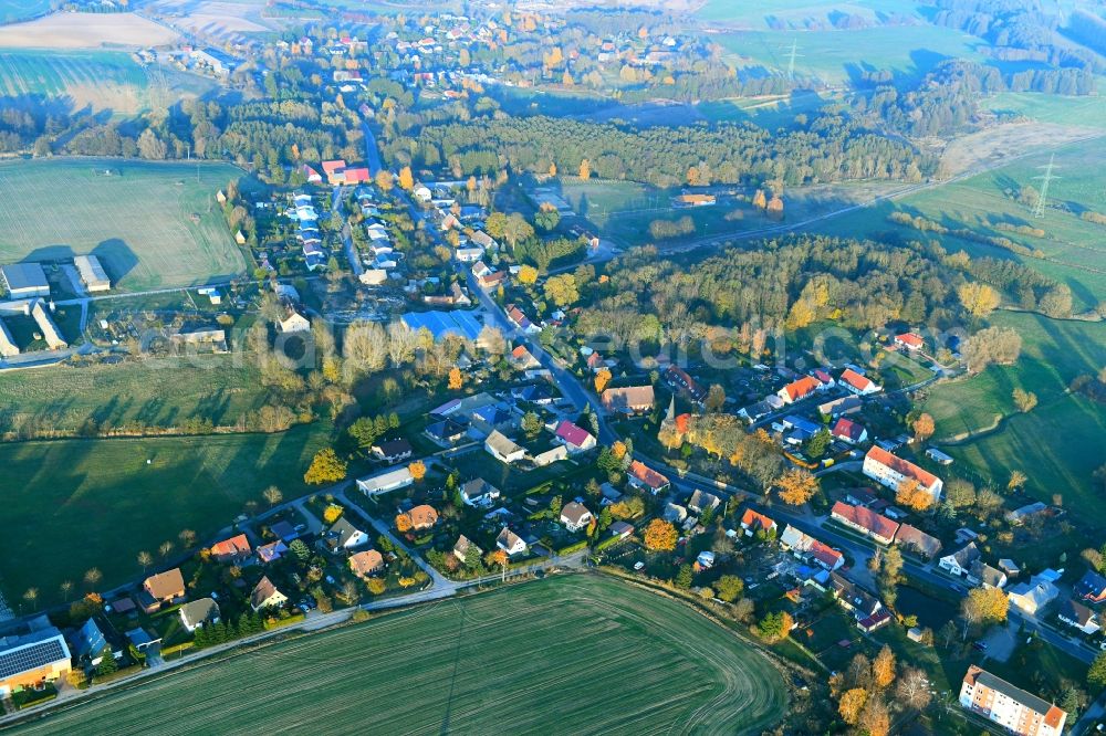 Aerial image Groß Teetzleben - Town View of the streets and houses in Gross Teetzleben in the state Mecklenburg - Western Pomerania, Germany