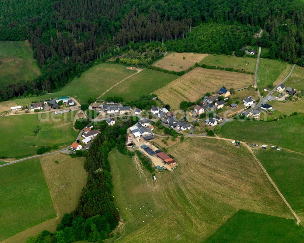 Hönningen from the bird's eye view: View of Hoenningen in the state of Rhineland-Palatinate. The municipiality and borough consists of several residential areas and agricultural businesses and land. It is surrounded by forest and hills