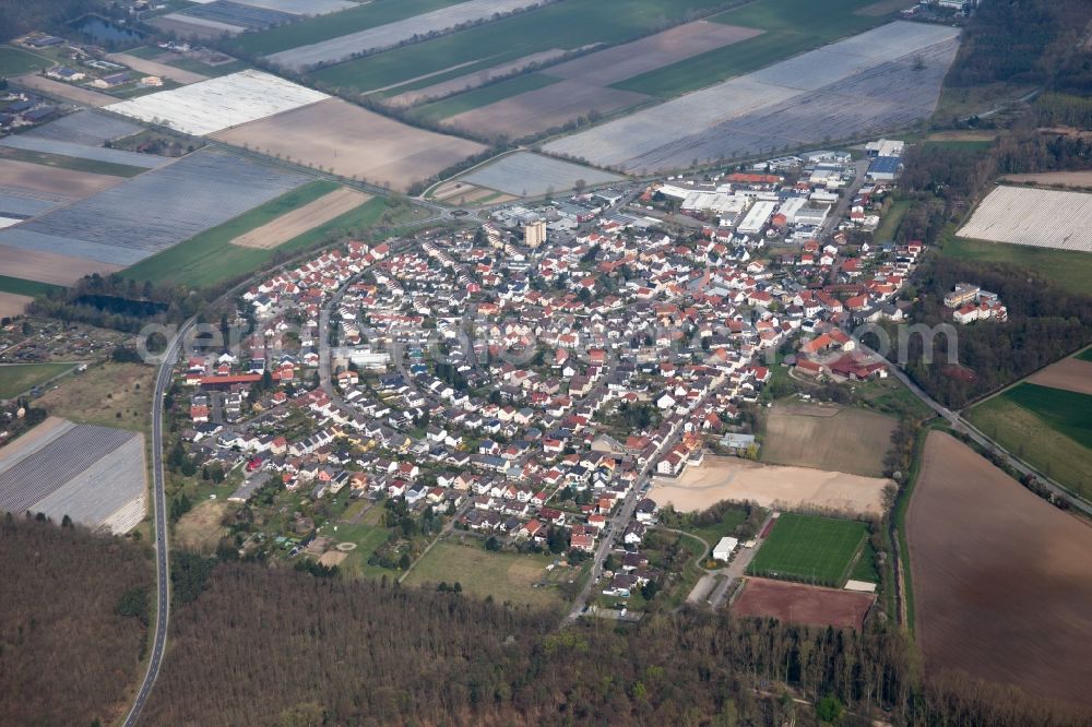 Lampertheim from above - Town View of the streets and houses of the residential areas in the district Huettenfeld in Lampertheim in the state Hesse, Germany