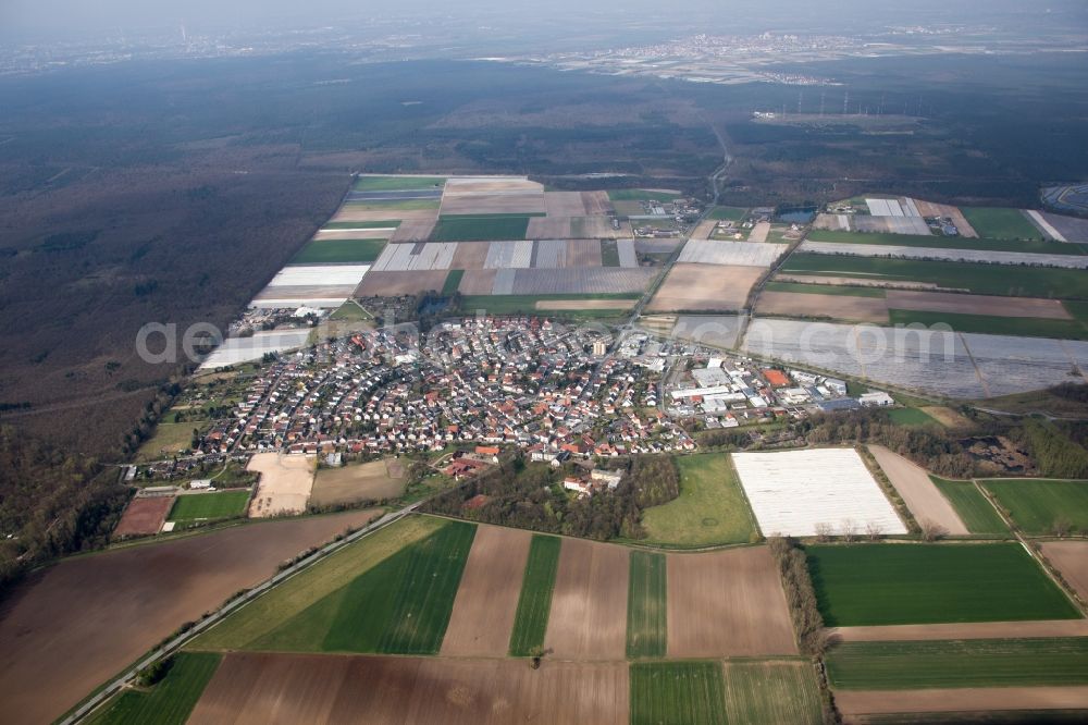 Lampertheim from the bird's eye view: Town View of the streets and houses of the residential areas in the district Huettenfeld in Lampertheim in the state Hesse, Germany