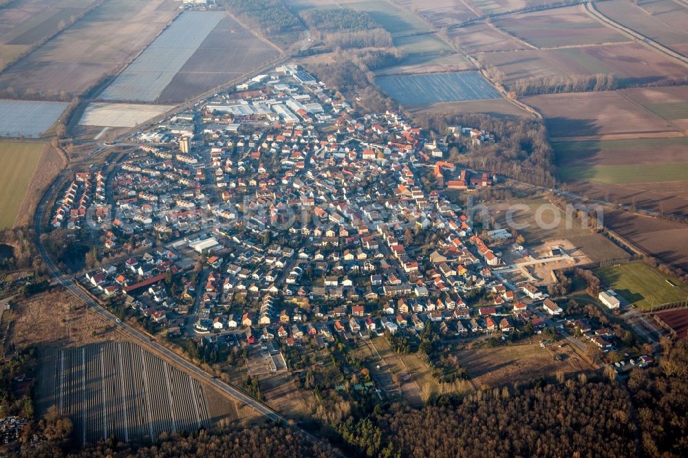 Lampertheim from above - Town View of the streets and houses of the residential areas in the district Huettenfeld in Lampertheim in the state Hesse, Germany