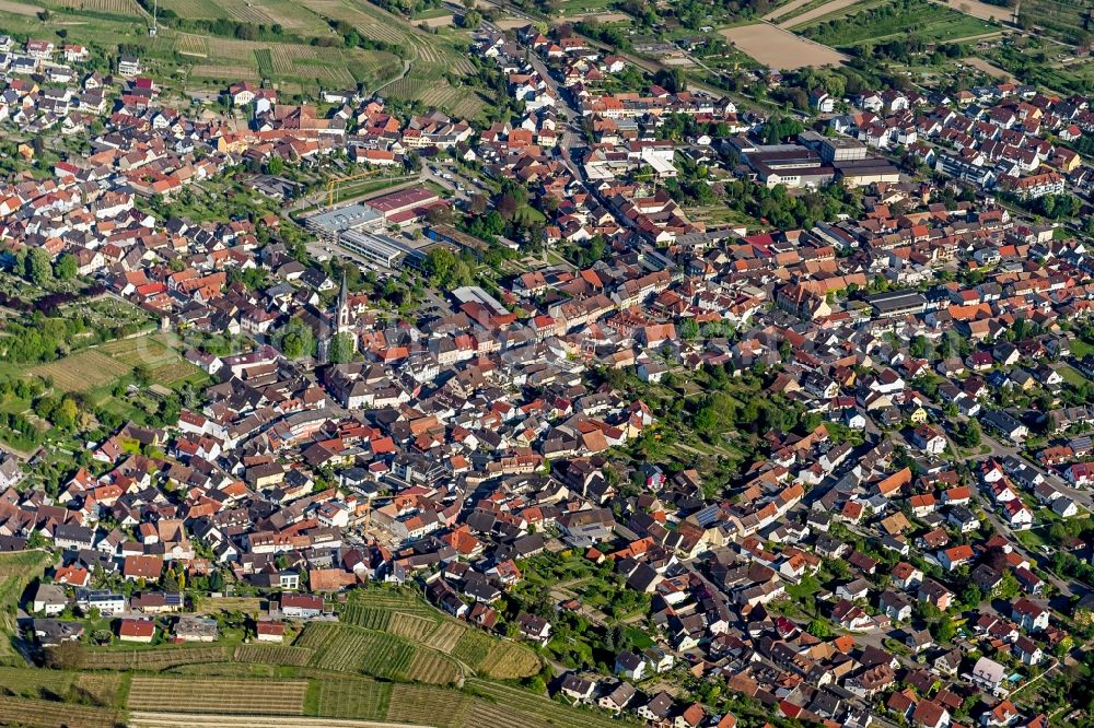 Ihringen from above - Town View of the streets and houses of the residential areas in Ihringen in the state Baden-Wuerttemberg