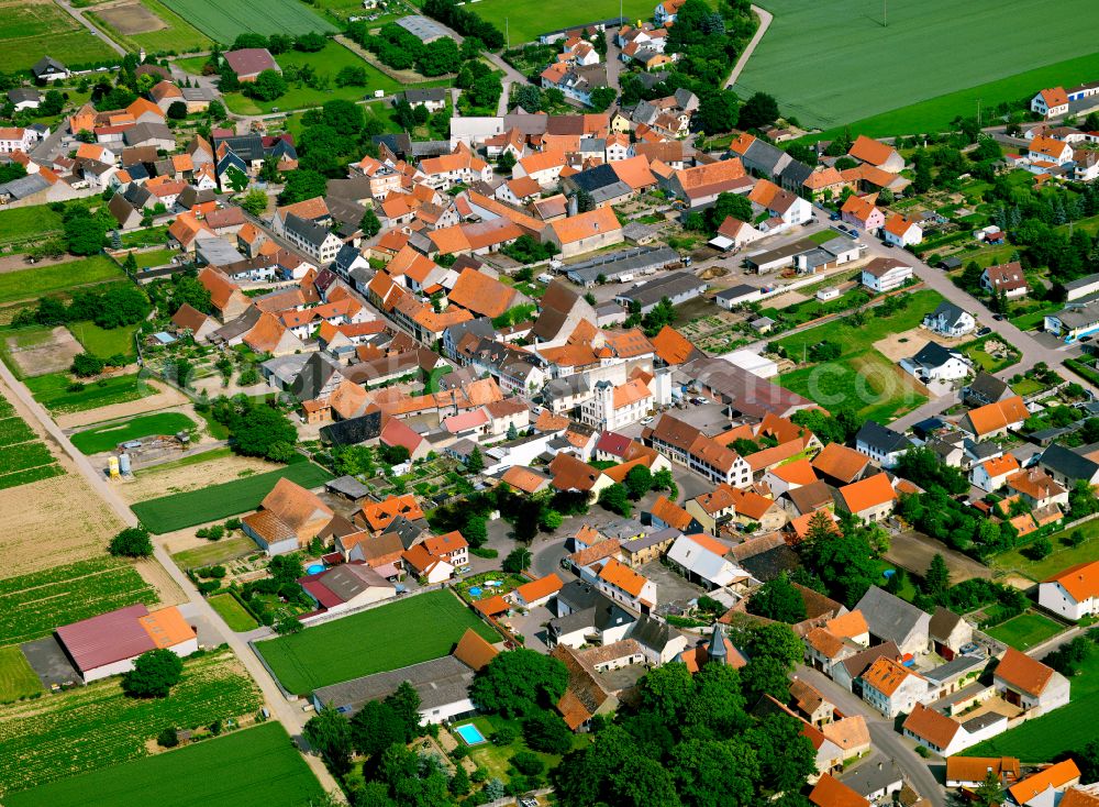 Ilbesheim from the bird's eye view: Town View of the streets and houses of the residential areas in Ilbesheim in the state Rhineland-Palatinate, Germany