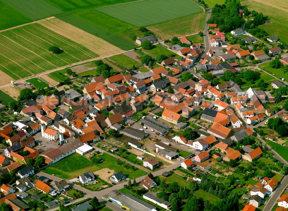 Aerial image Ilbesheim - Town View of the streets and houses of the residential areas in Ilbesheim in the state Rhineland-Palatinate, Germany