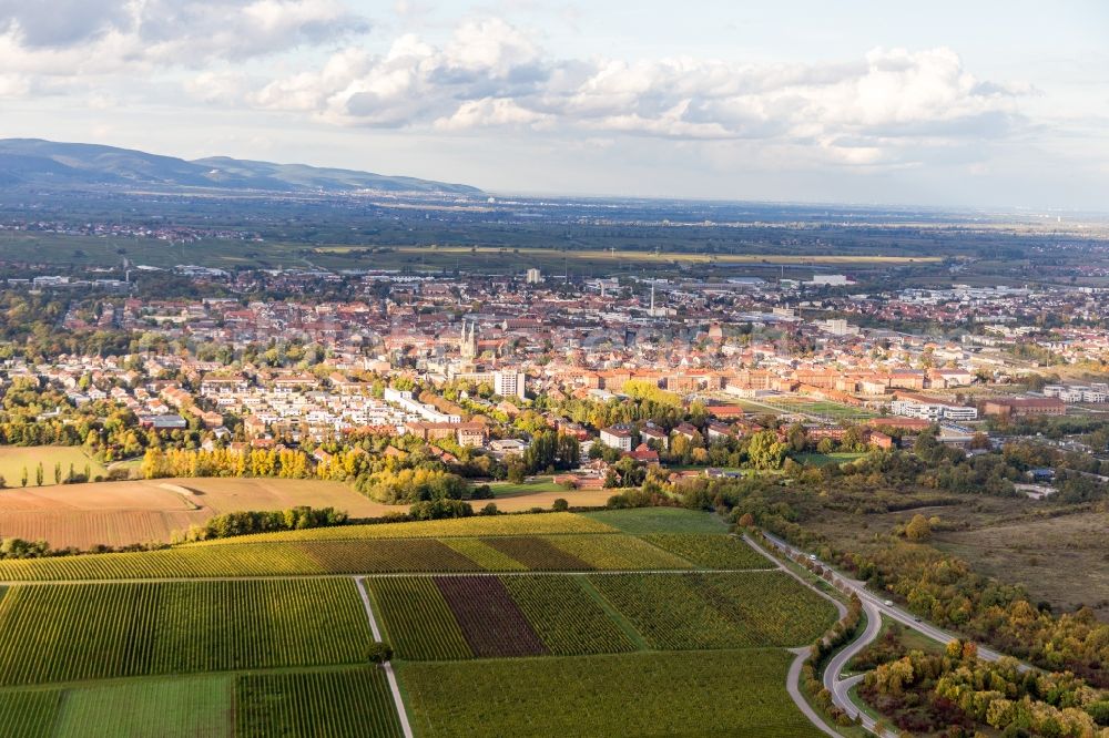 Aerial photograph Landau in der Pfalz - Town View of the streets and houses of the residential areas in Landau in der Pfalz in the state Rhineland-Palatinate, Germany