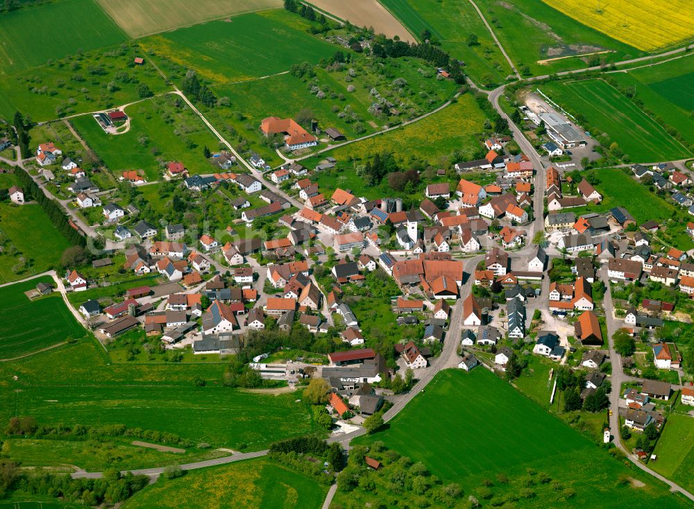 Aerial image Langenau - Town View of the streets and houses of the residential areas in Langenau in the state Baden-Wuerttemberg, Germany