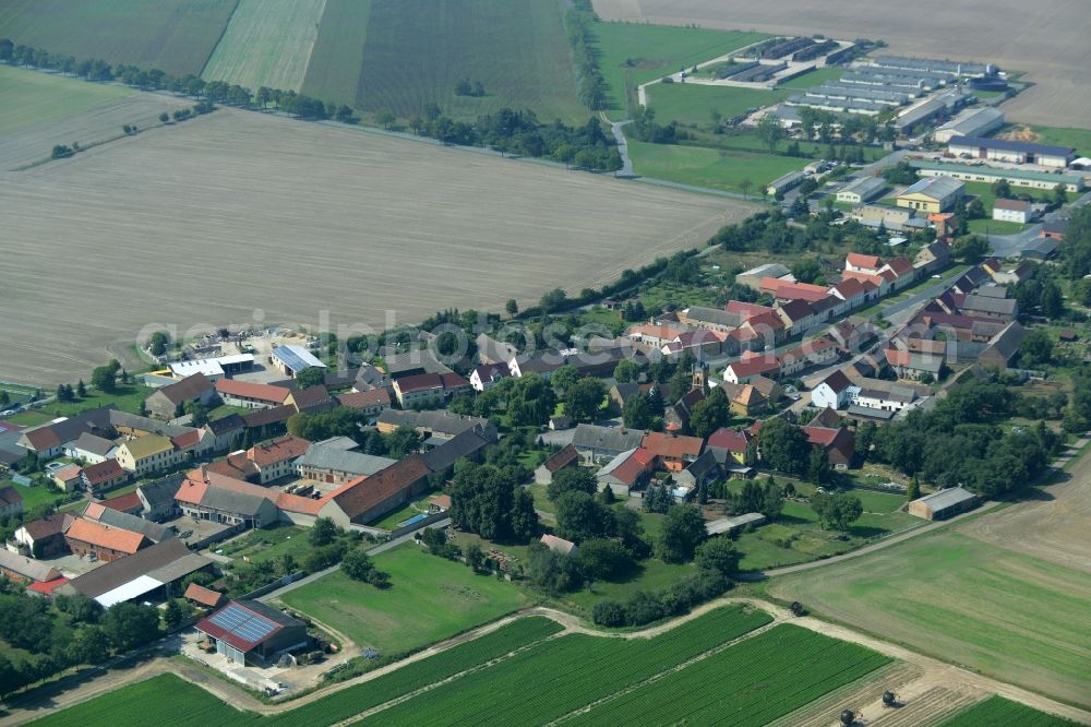 Aerial photograph Langenlipsdorf - View of the village of Langenlipsdorf in the state of Brandenburg. The village consists of residential houses and agricultural farms and is surrounded by fields