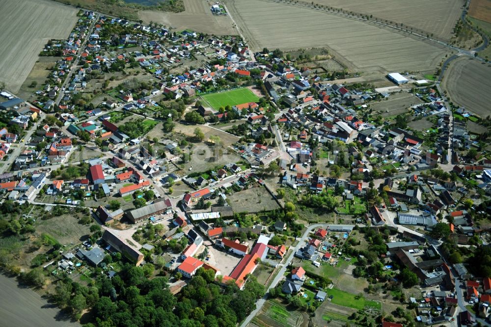 Aerial photograph Löberitz - Town View of the streets and houses of the residential areas in Loeberitz in the state Saxony-Anhalt, Germany