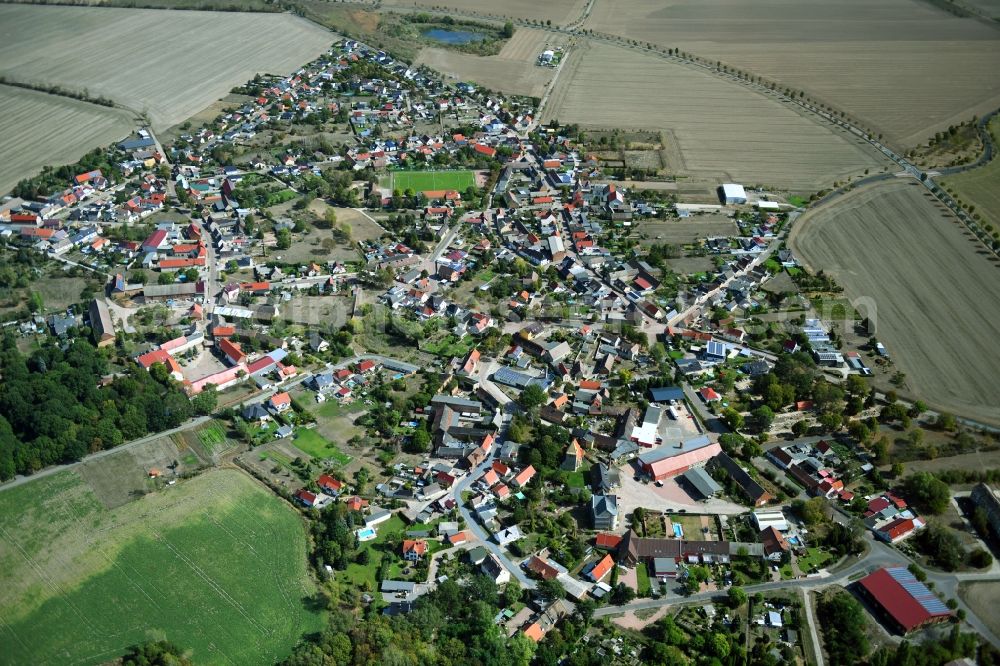 Löberitz from above - Town View of the streets and houses of the residential areas in Loeberitz in the state Saxony-Anhalt, Germany