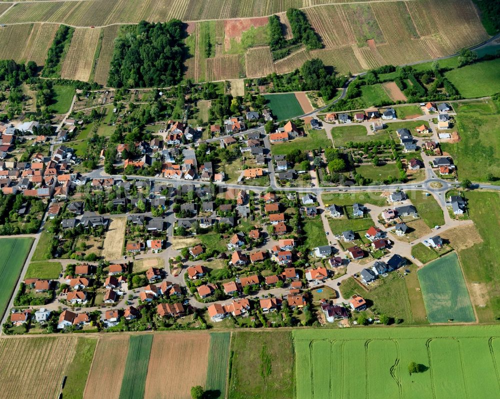 Mandel from the bird's eye view: View of Mandel in the state of Rhineland-Palatinate. Mandel is a borough and municipiality in the county district of Bad Kreuznach. It is located amidst vineyards and agricultural land and consists of residential buildings