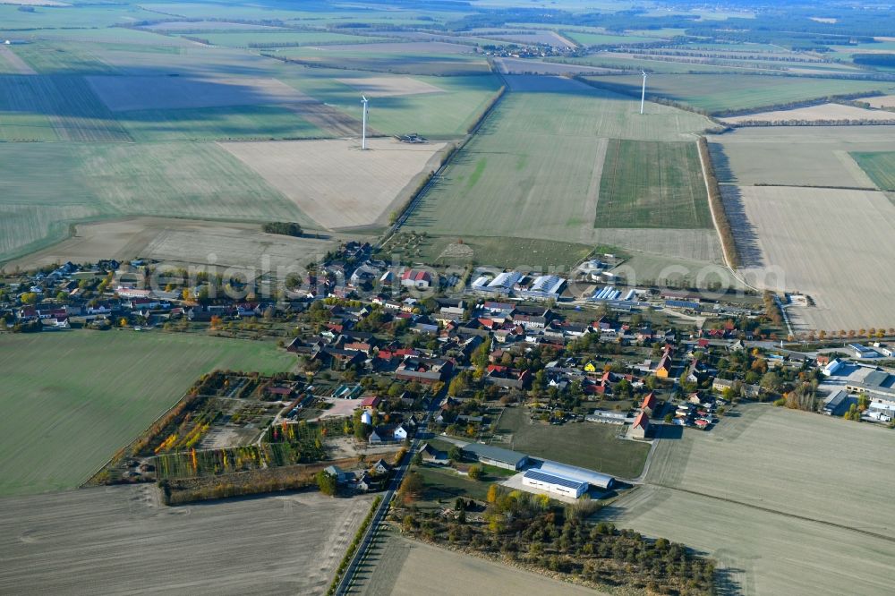 Marzahna from the bird's eye view: Town View of the streets and houses of the residential areas in Marzahna in the state Brandenburg, Germany