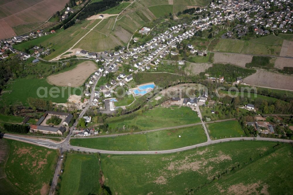 Aerial photograph Mertesdorf - View of Mertesdorf in the state of Rhineland-Palatinate. Mertesdorf is a wine-growing village in the valley of the river Ruwer near Trier and an official resort. The village is surrounded by vineyards and hills and consists of historic and residential buildings