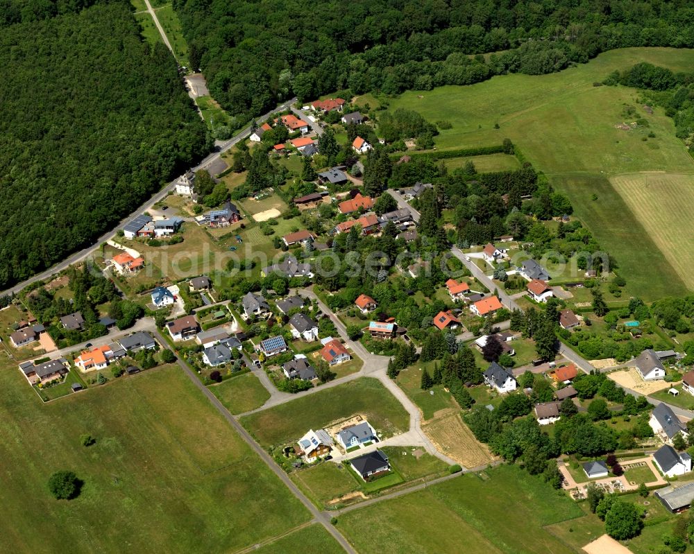 Aerial photograph Münchwald - View at Muenchwald on the L239 in Rhineland-Palatinate 