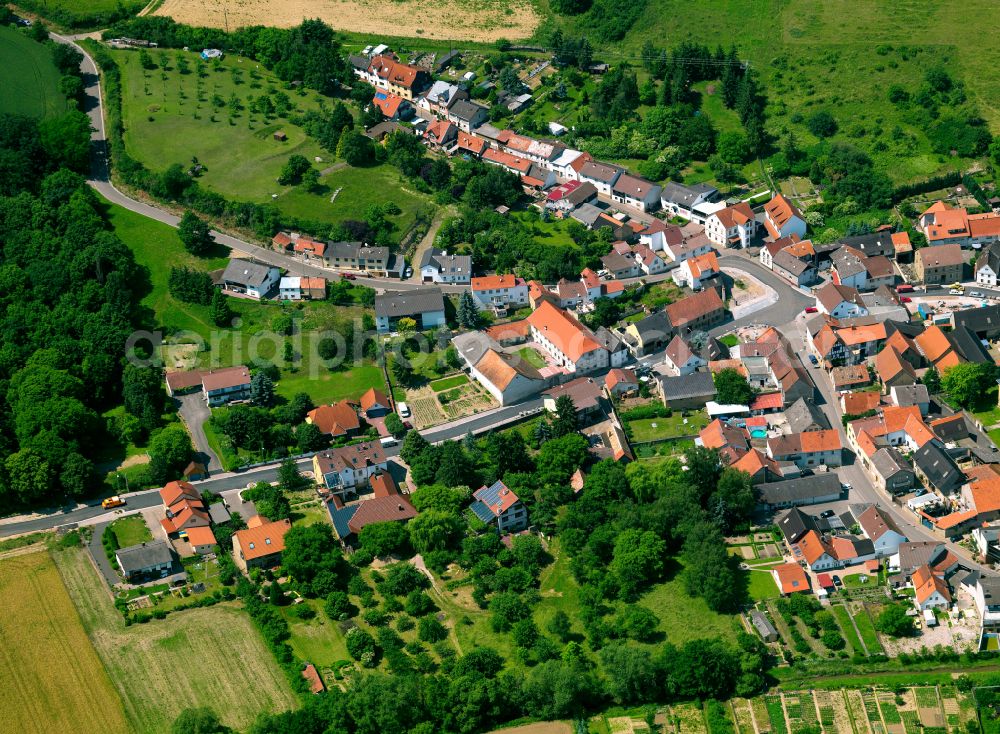 Aerial photograph Münsterappel - Town View of the streets and houses of the residential areas in Münsterappel in the state Rhineland-Palatinate, Germany