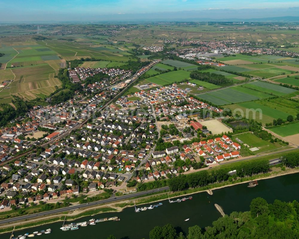 Aerial photograph Nackenheim - View at Nackenheim in the state of Rhineland-Palatinate. Nackenheim is located along the Rhine and the border of the states of Rhineland Palatinate and Hesse