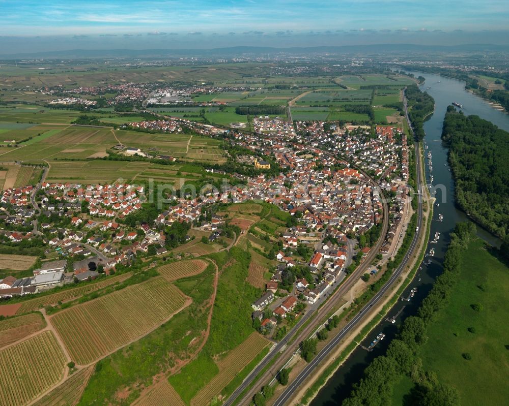 Nackenheim from above - View at Nackenheim in the state of Rhineland-Palatinate. Nackenheim is located along the Rhine and the border of the states of Rhineland Palatinate and Hesse