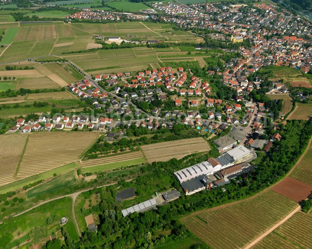 Nackenheim from the bird's eye view: View at Nackenheim in the state of Rhineland-Palatinate. Nackenheim is located along the Rhine and the border of the states of Rhineland Palatinate and Hesse