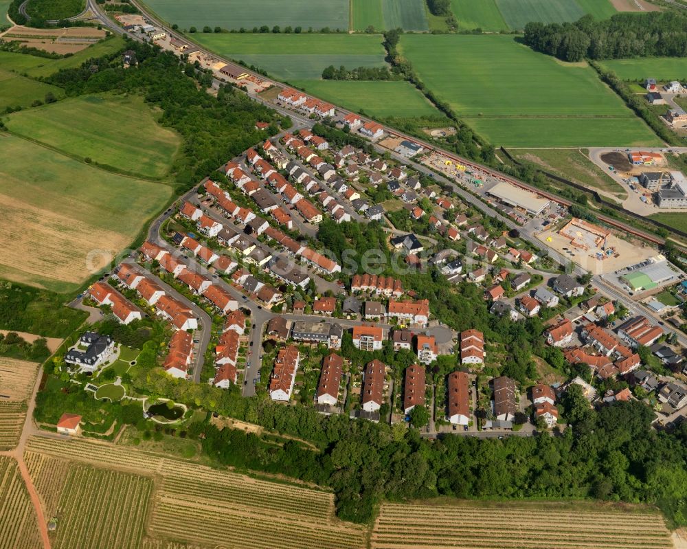 Nackenheim from above - View at Nackenheim in the state of Rhineland-Palatinate. Nackenheim is located along the Rhine and the border of the states of Rhineland Palatinate and Hesse