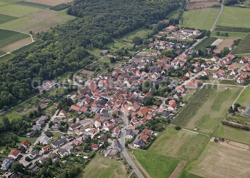 Aerial image Nieder-Hilbersheim - Local view of Nieder-Hilbersheim in the state of Rhineland-Palatinate