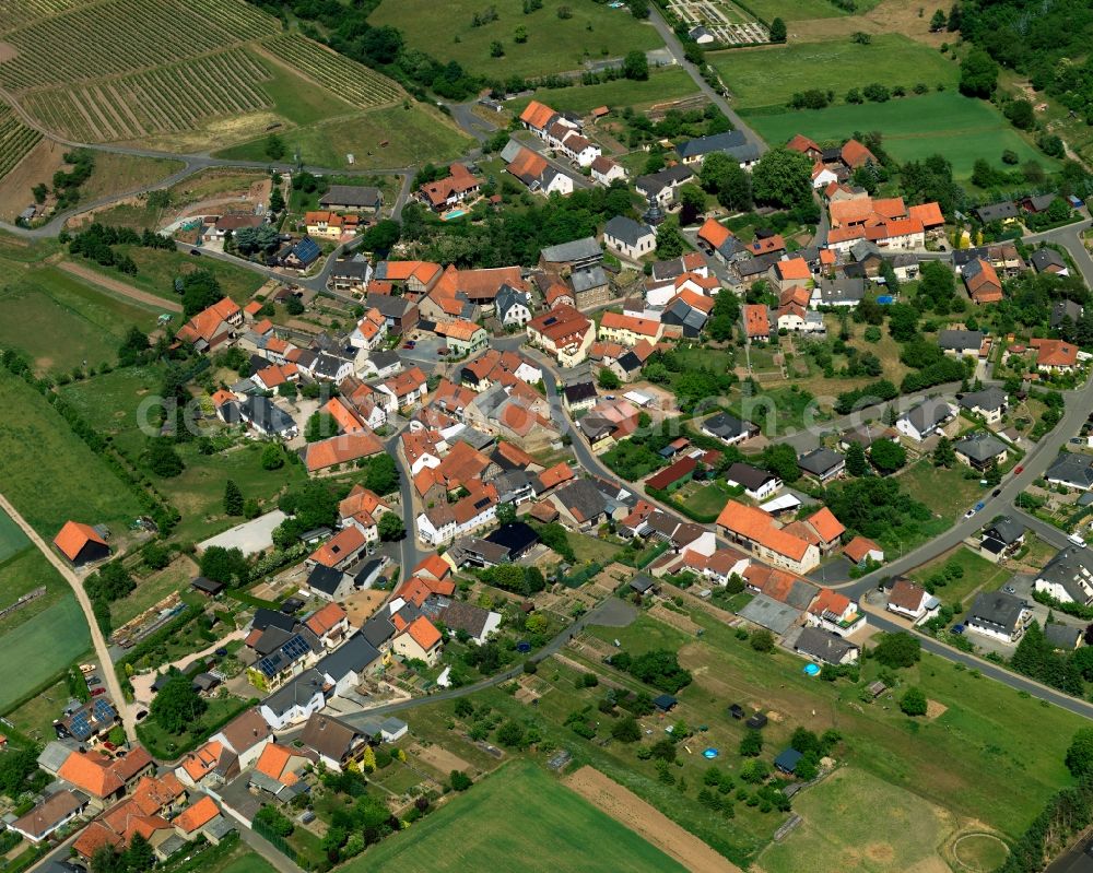 Aerial photograph Nußbaum - District view of Nussbaum in the state Rhineland-Palatinate