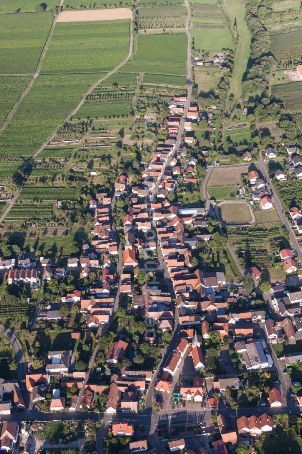 Aerial image Oberotterbach - Town View of the streets and houses of the residential areas in Oberotterbach in the state Rhineland-Palatinate, Germany