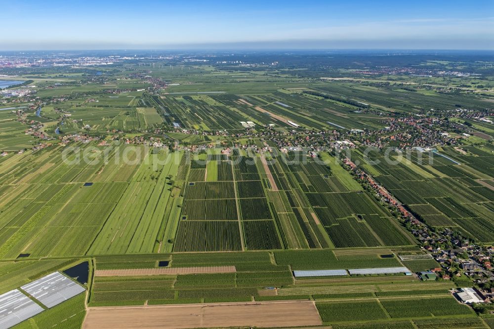 Aerial photograph Jork - Town view in the fruit-growing region Altes Land Jork-Estebrugge in the state Lower Saxony, Germany