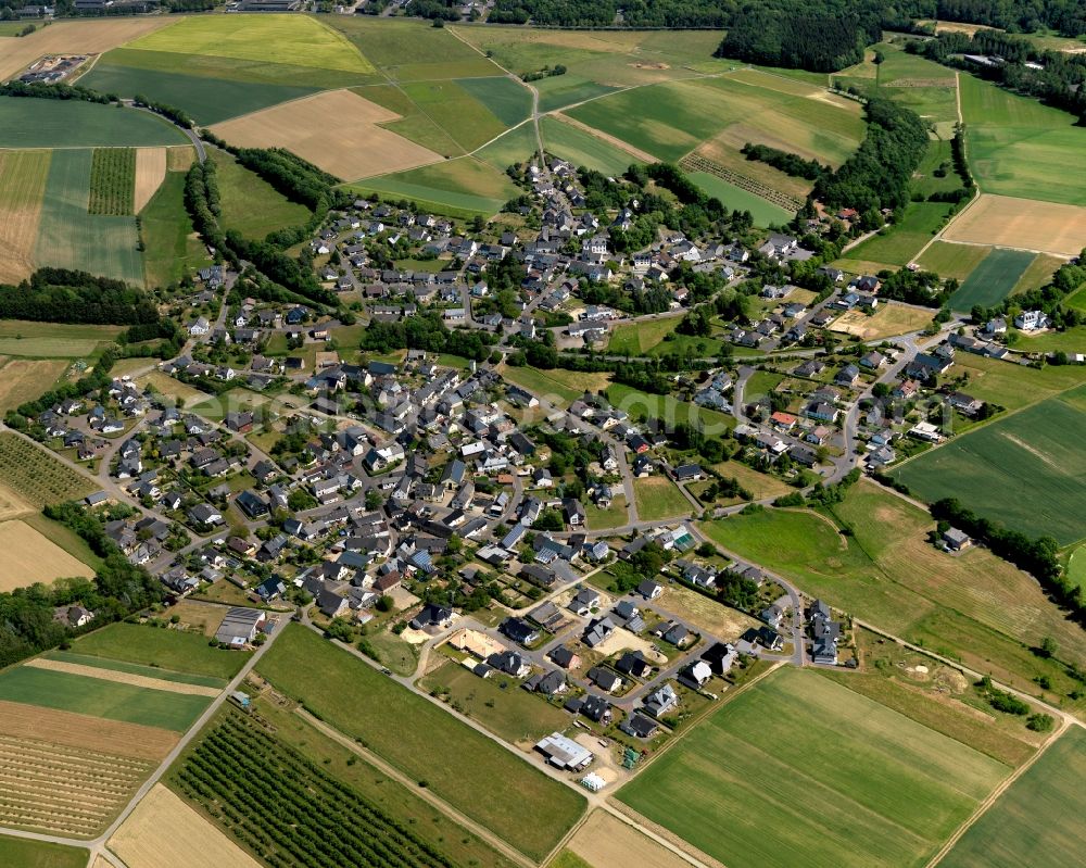 Alflen from the bird's eye view: View of Alflen in the state of Rhineland-Palatinate. The borough and municipiality is located in the county district of Cochem-Zell and consists of two parts: the older Kirch-Alflen and the younger Upper Village on Litzbach creek. It is surrounded by agricultural land, meadows and forest