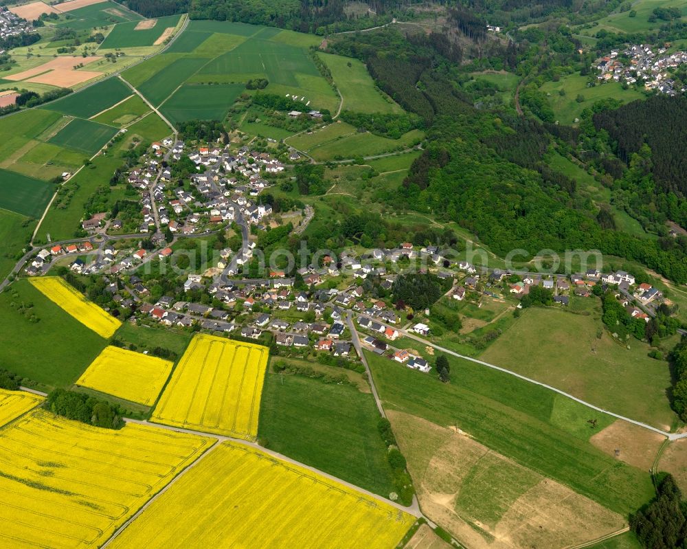 Alsbach from the bird's eye view: View of Alsbach in the state of Rhineland-Palatinate. The borough and municipiality is located in the county district of Westerwaldkreis in the low mountain range of Westerwald - the so called Kannenbaeckerland. Alsbach is surrounded by agricultural land, hills, canola fields and meadows