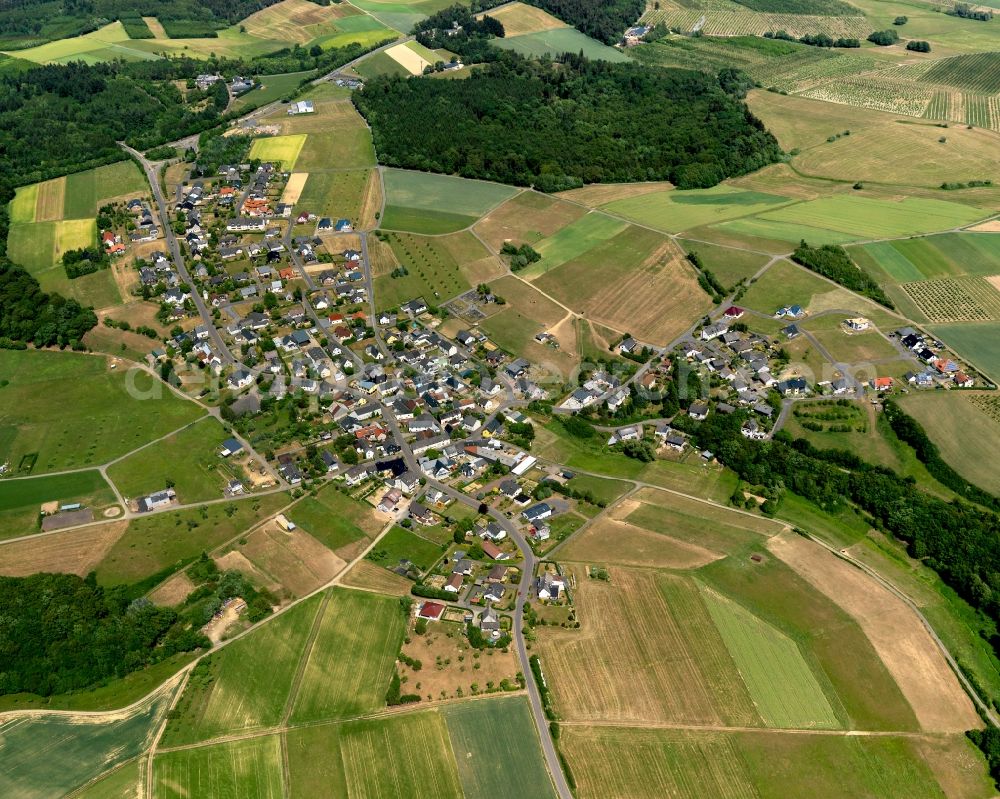 Auderath from the bird's eye view: View of Auderath in the state of Rhineland-Palatinate. The borough and municipiality is located in the county district of Cochem-Zell in the Volcanic Eifel region. It is surrounded by agricultural land, meadows and forest. The hamlets Waldfrieden and Wilhelmshoehe belong to the village