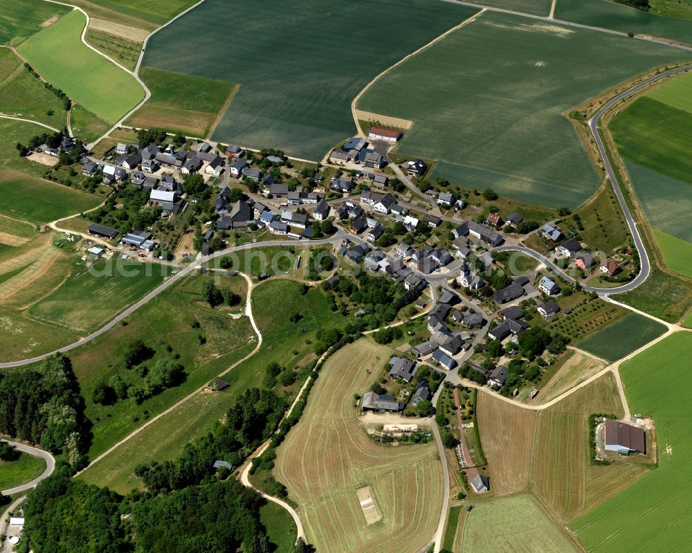 Badenhard from the bird's eye view: View of the borough of Badenhard in the state Rhineland-Palatinate. Badenhard is a village in the county district of Rhine-Hunsrueck. It is located on a crest in the East of the Hunsrueck mountain range, surrounded by fields and forest