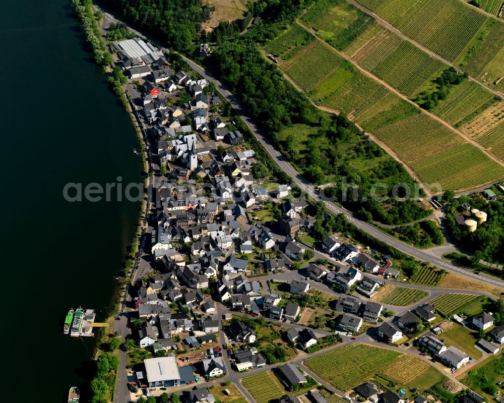 Aerial image Briedern - View of the borough and municipiality of Briedern in the state of Rhineland-Palatinate. The official tourist resort and wine-growing town is part of the Cochem-Zell county district and is located on the right riverbank of the Moselle