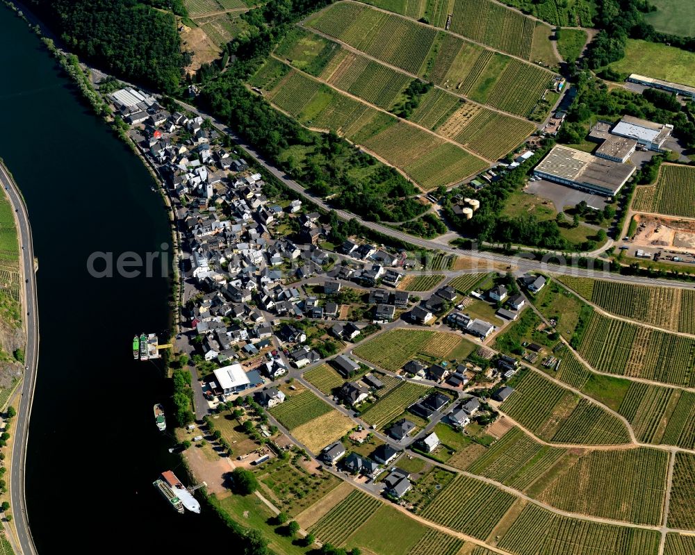 Aerial photograph Briedern - View of the borough and municipiality of Briedern in the state of Rhineland-Palatinate. The official tourist resort and wine-growing town is part of the Cochem-Zell county district and is located on the right riverbank of the Moselle