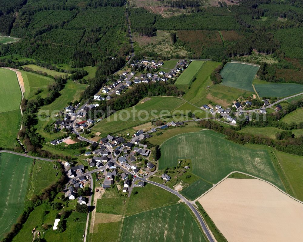 Dillendorf from above - View of Dillendorf in the state of Rhineland-Palatinate. Dillendorf is located in the county district of Rhine-Hunsrueck. The borough and municipiality consists of residential areas and agricultural land and sits in the valley of the Kyrbach creek