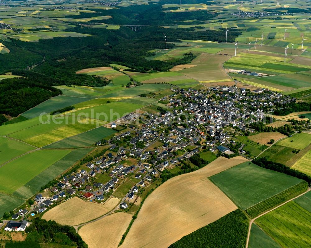 Aerial image Düngenheim - View of Duengenheim in the state of Rhineland-Palatinate. The borough and municipiality is located in the county district of Cochem-Zell in the Eastern Eifel Region. Children's home St. Martin, Lehnholz and Weierthalerhof are hamlets of Duengenheim which is the largest municipiality in the association of municipialities of Kaiseresch. It is surrounded by agricultural land, meadows and forest