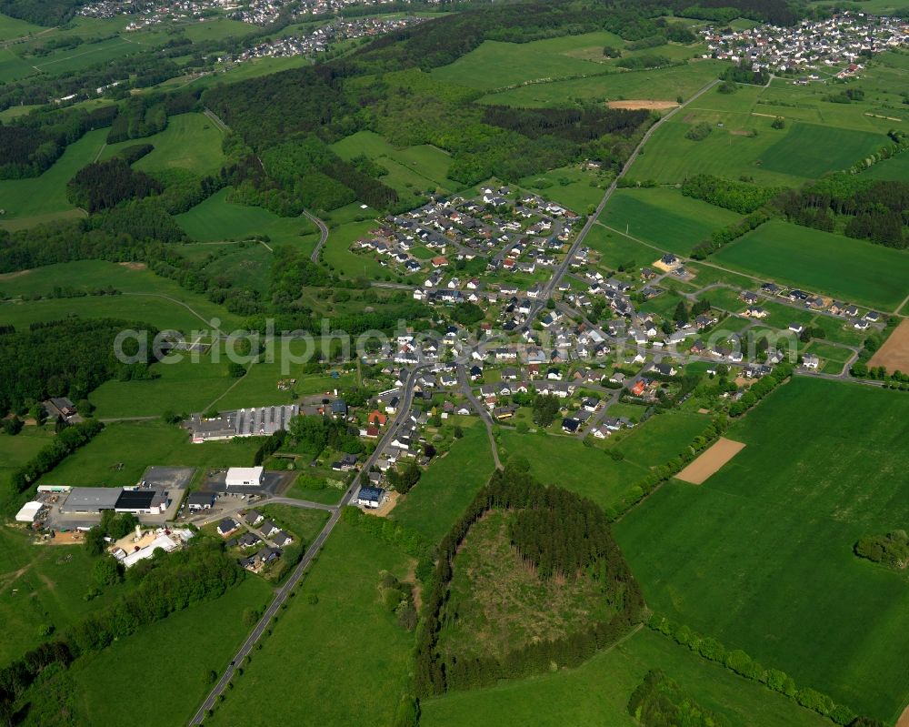 Dreisbach from the bird's eye view: View of the borough of Dreisbach in the state of Rhineland-Palatinate. The borough is located in the county district and region of Westerwald. The residential village is surrounded by fields and meadows