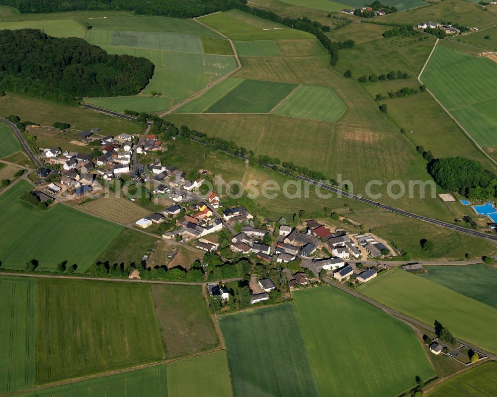 Ebertshausen from the bird's eye view: View of the borough of Ebertshausen in the state of Rhineland-Palatinate. The borough and municipiality is located in the county district of Rhine-Lahn. The agricultural village consists of residential buildings and areas and is surrounded by meadows and fields