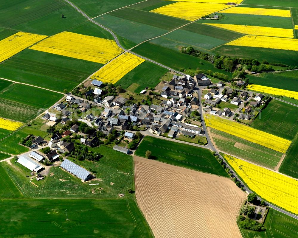 Einig from above - View of Einig in the state of Rhineland-Palatinate. The agricultural borough and municipiality is located in the county district of Mayen-Koblenz and surrounded by meadows and rapeseed fields