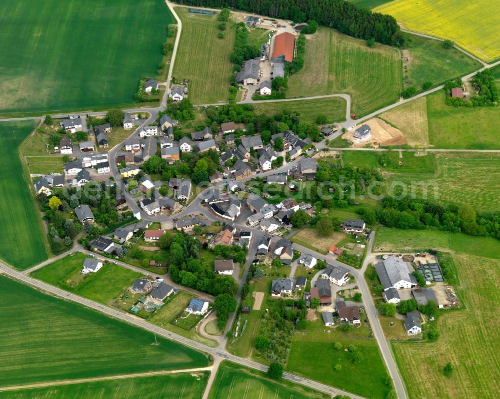 Aerial photograph Endlichhofen - View of the borough of Endlichhofen in the state of Rhineland-Palatinate. The borough and municipiality is located in the county district of Rhine-Lahn, in the Taunus mountain region. The agricultural village consists of residential areas and is surrounded by rapeseed fields and meadows