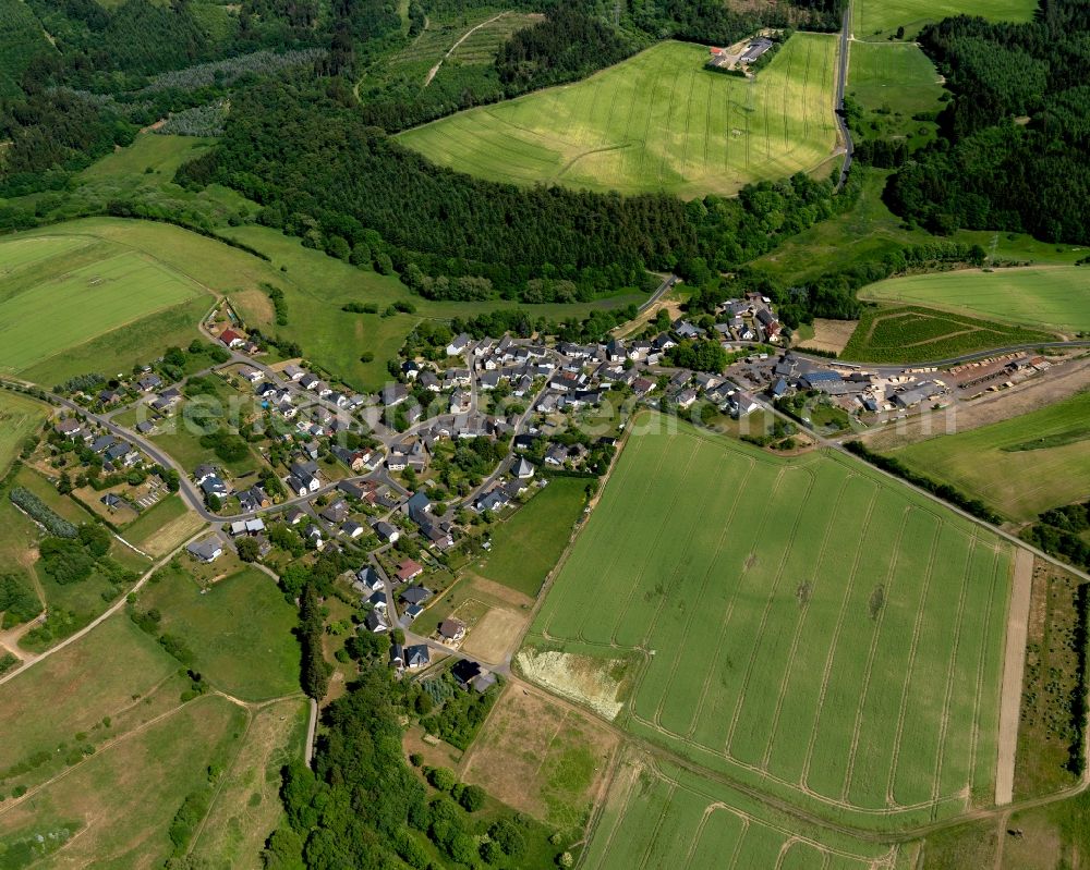 Aerial photograph Eppenberg - View of Eppenberg in the state of Rhineland-Palatinate. The borough and municipiality is located in the county district of Cochem-Zell in the Eifel region. It is surrounded by agricultural land, meadows and forest