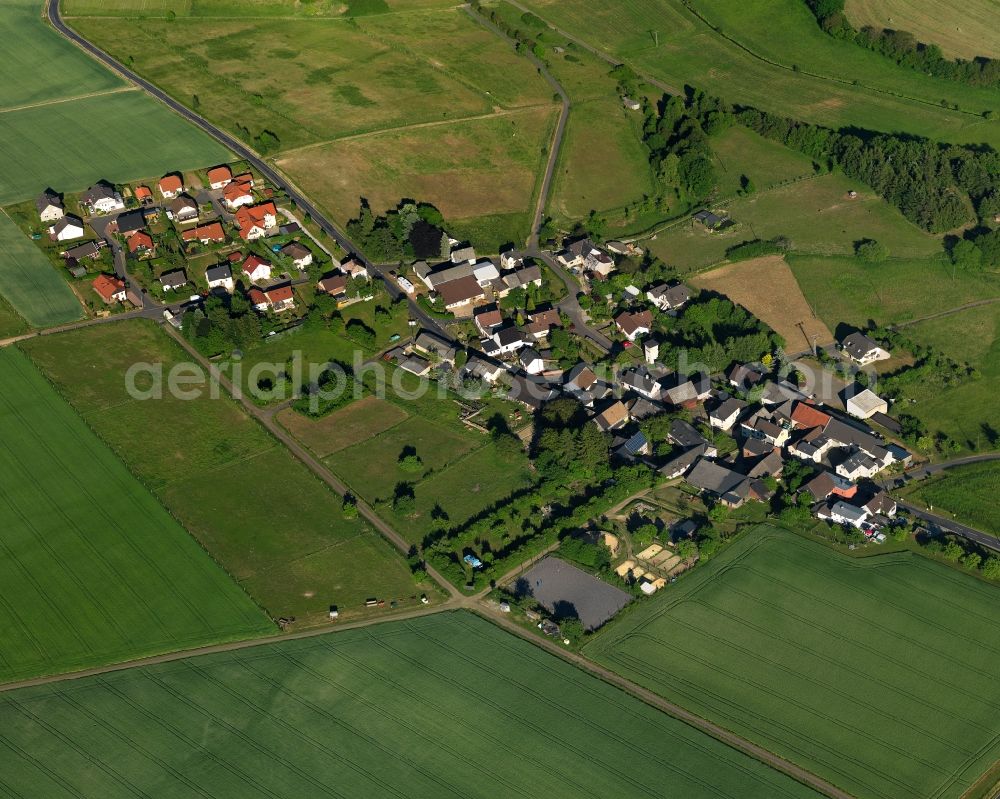 Aerial photograph Ergeshausen - View of the borough of Ergeshausen in the state of Rhineland-Palatinate. The borough and municipiality is located in the county district of Rhine-Lahn. The agricultural village consists of residential buiildings and areas, sits in the Nature Park Nassau and is surrounded by meadows and fields