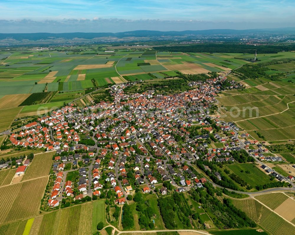 Essenheim from the bird's eye view: View of the borough of Essenheim in the state of Rhineland-Palatinate. The borough is located in the county district of Mainz-Bingen. The residential village is surrounded by fields, vineyards and meadows